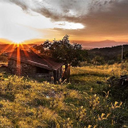 Fattoria La Tavernuzza Грассина Экстерьер фото