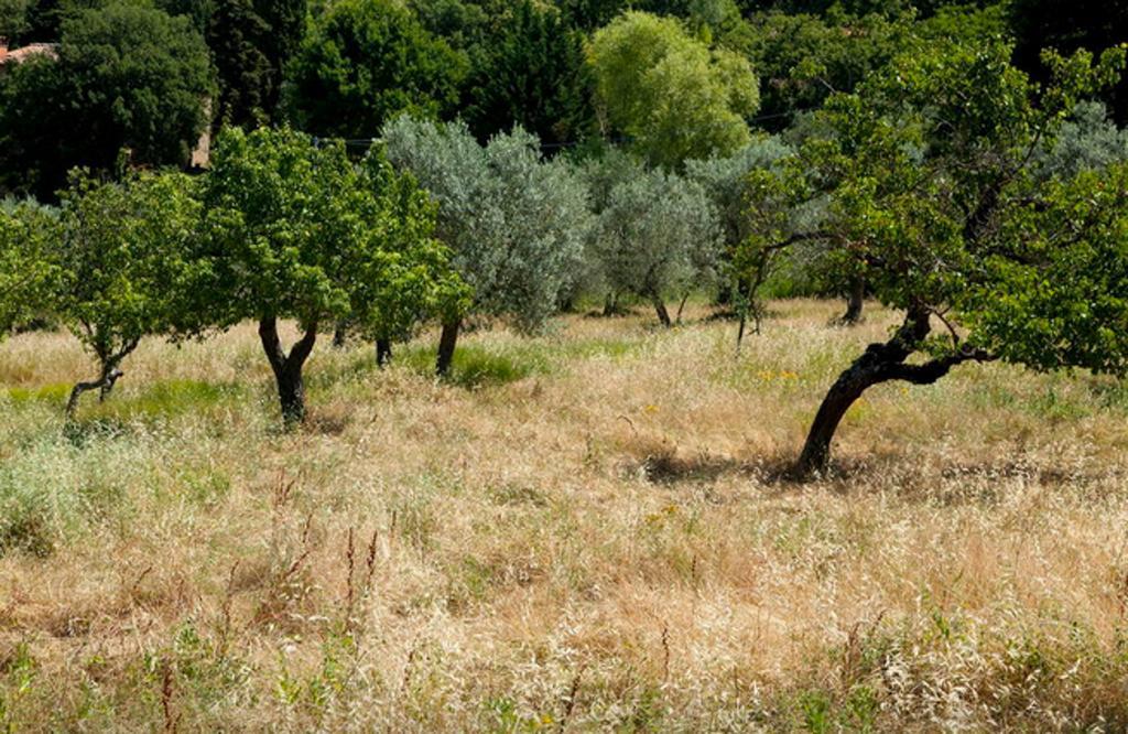 Fattoria La Tavernuzza Грассина Номер фото