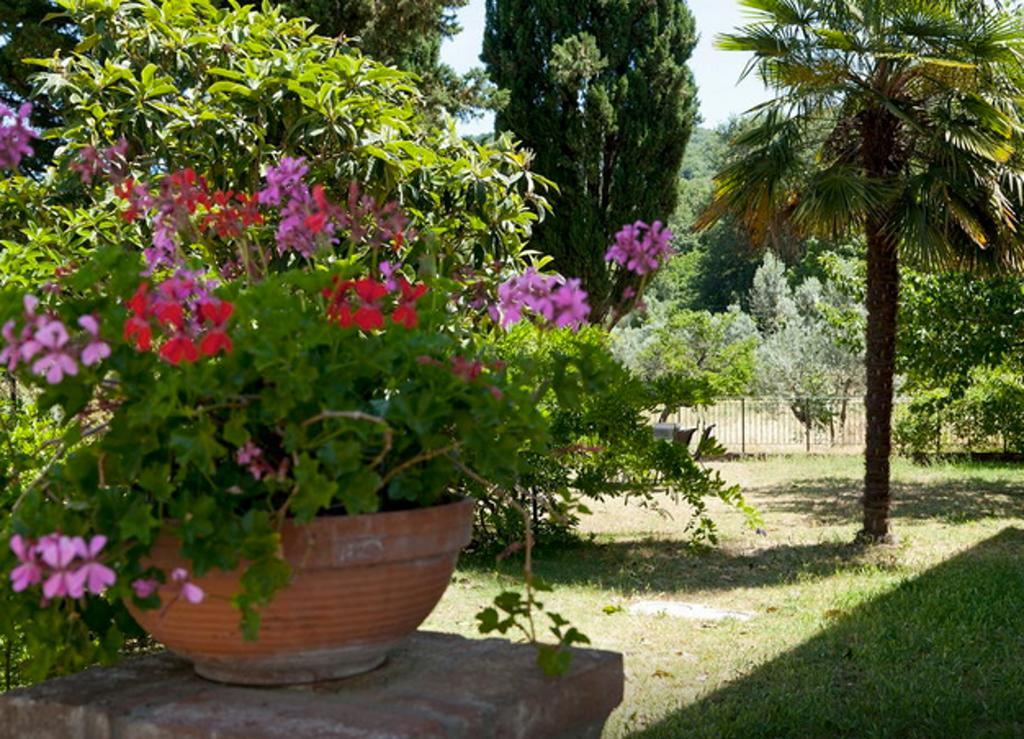 Fattoria La Tavernuzza Грассина Номер фото