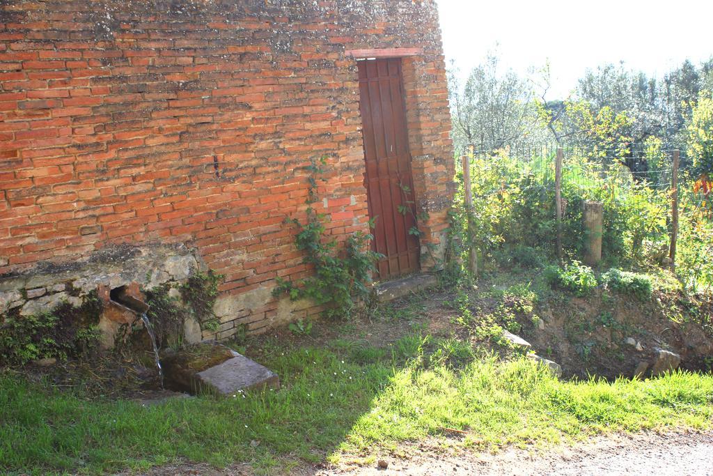 Fattoria La Tavernuzza Грассина Экстерьер фото