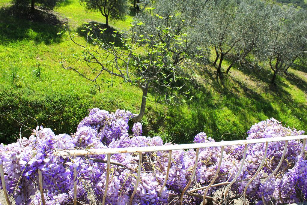 Fattoria La Tavernuzza Грассина Экстерьер фото