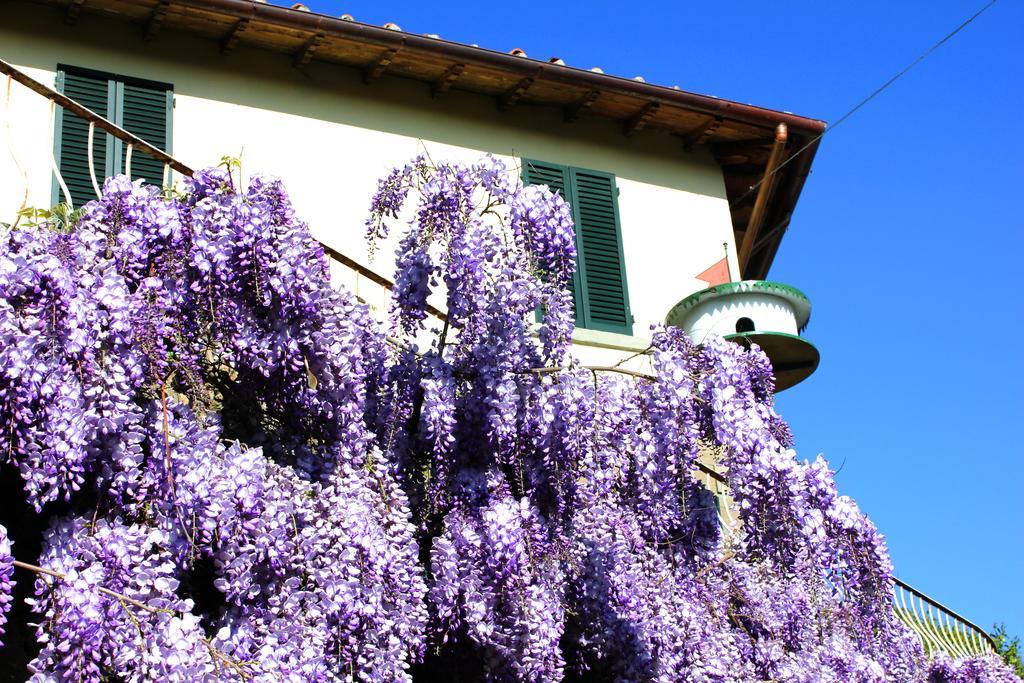 Fattoria La Tavernuzza Грассина Экстерьер фото