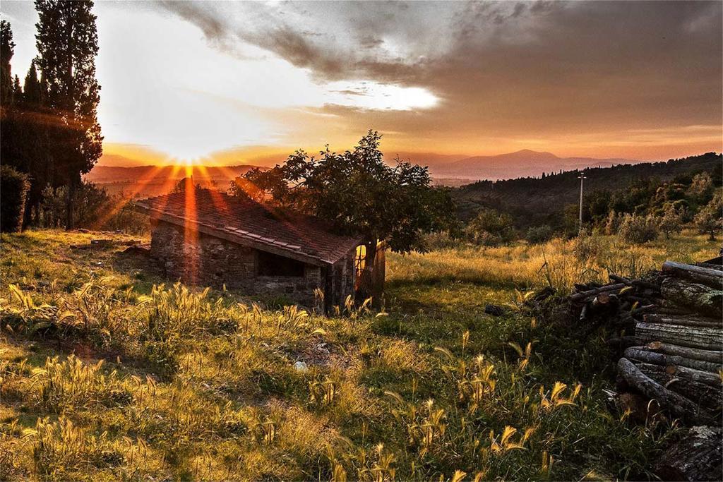Fattoria La Tavernuzza Грассина Экстерьер фото